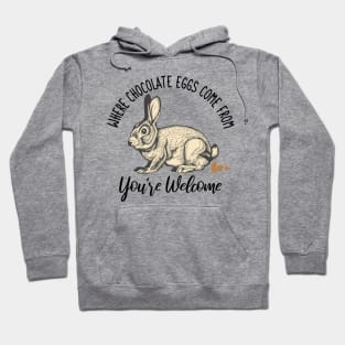 Where Chocolate Eggs Come From Easter Potty Poop Hoodie